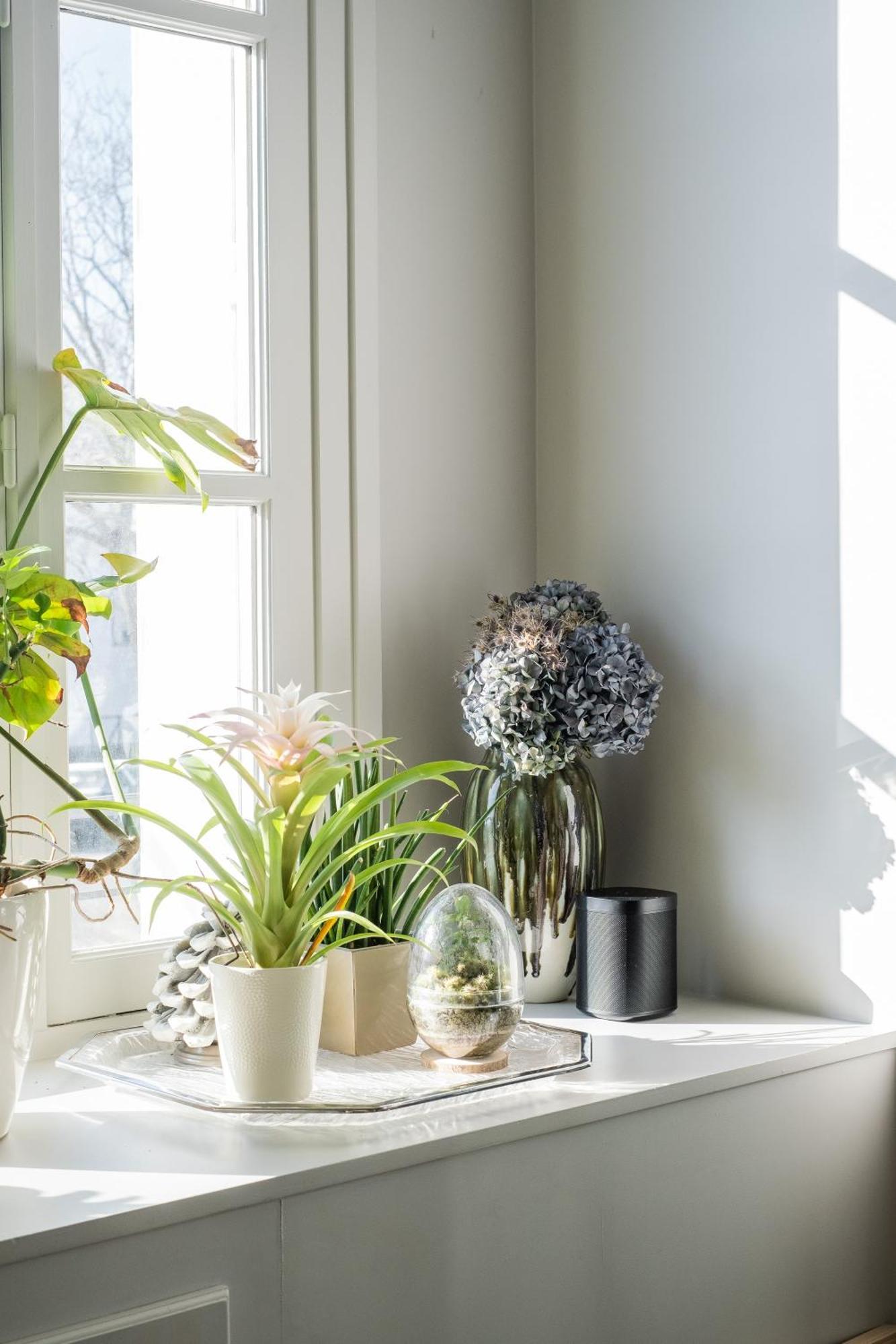 Apartment Veeve - Arboreal Maison *